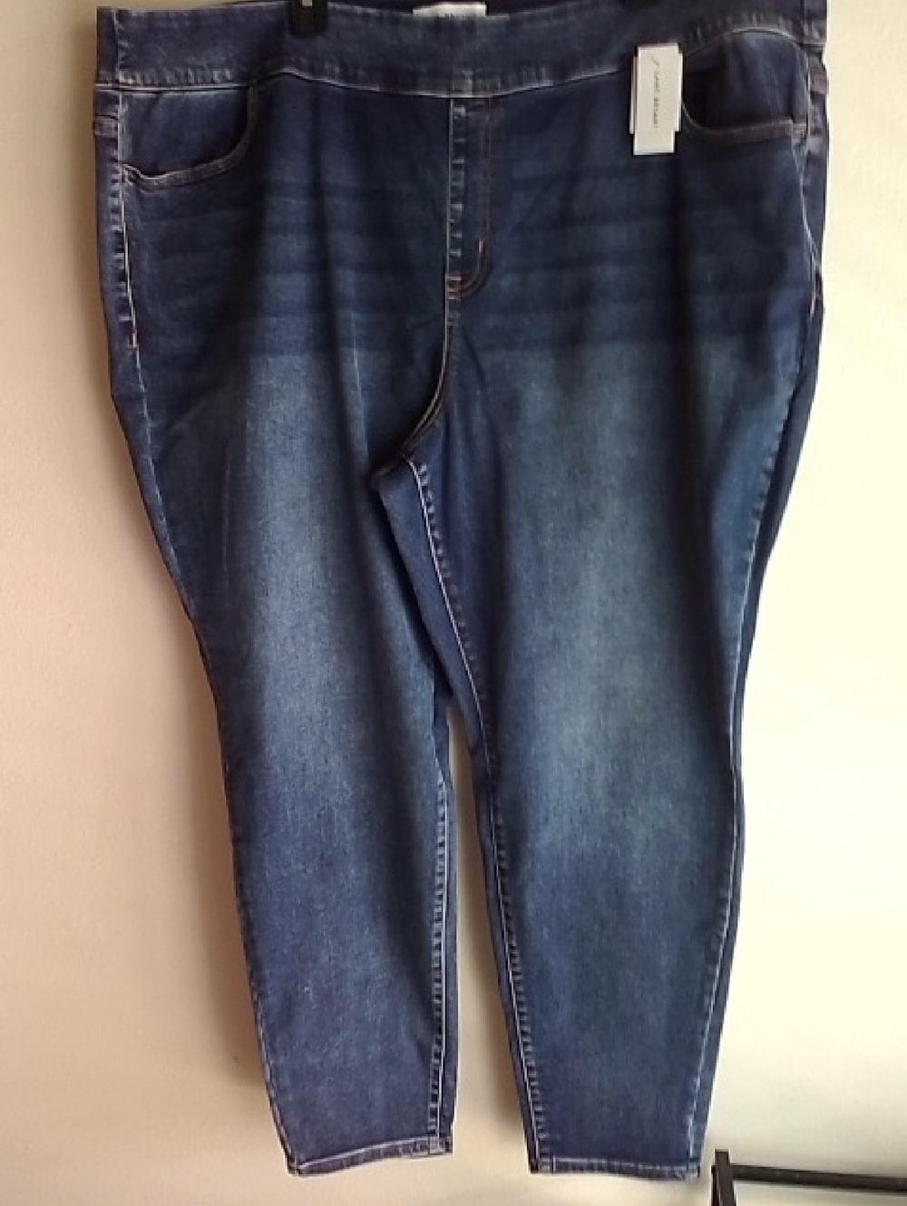Lane Bryant Dark Wash Denim Jeggings - Blue